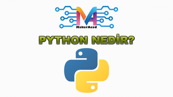 Python Nedir?